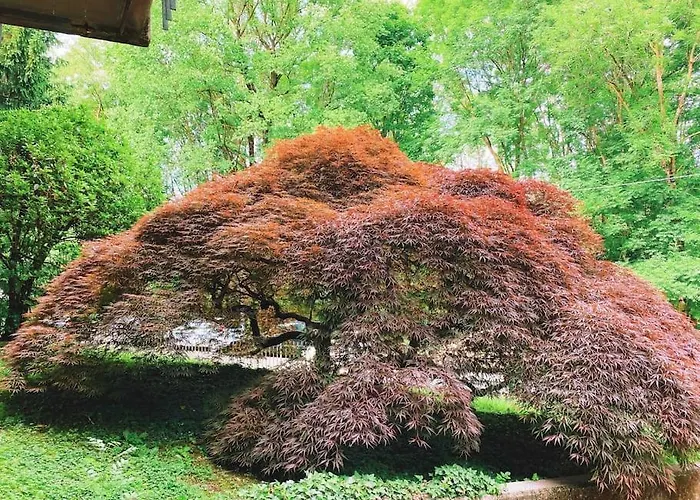 Spacious 3 Bdr 2 Bath, 5 Min From Center